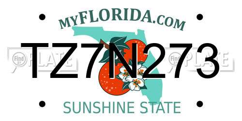 TZ7N273 Florida License Plate