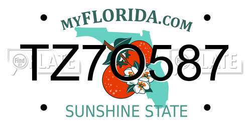 TZ7O587 Florida License Plate