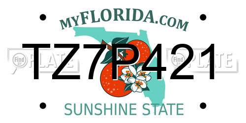 TZ7P421 Florida License Plate