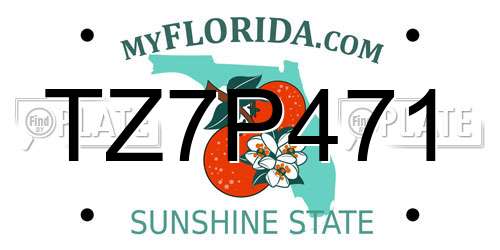 TZ7P471 Florida License Plate