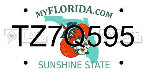 TZ7Q595 Florida License Plate