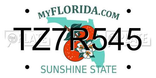 TZ7R545 Florida License Plate