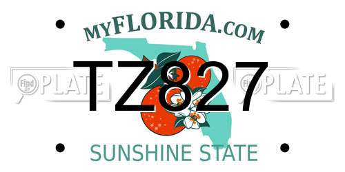 TZ827 Florida License Plate