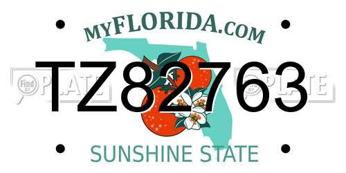 TZ82763 Florida License Plate