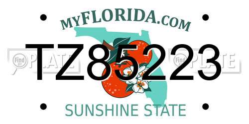 TZ85223 Florida License Plate