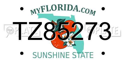 TZ85273 Florida License Plate
