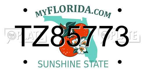 TZ85773 Florida License Plate