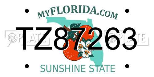 TZ87263 Florida License Plate