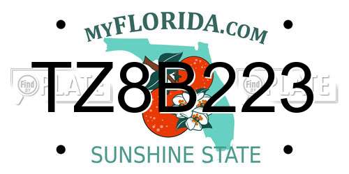 TZ8B223 Florida License Plate