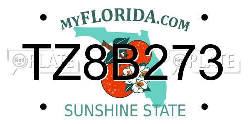TZ8B273 Florida License Plate
