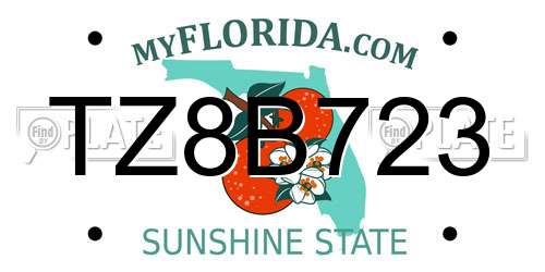 TZ8B723 Florida License Plate