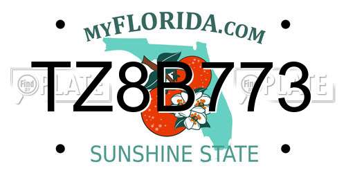 TZ8B773 Florida License Plate