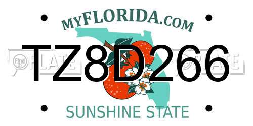 TZ8D266 Florida License Plate