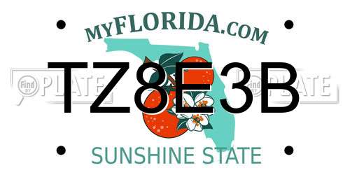 TZ8E3B Florida License Plate
