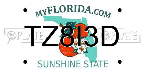 TZ8I3D Florida License Plate