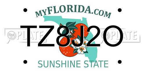 TZ8J2O Florida License Plate