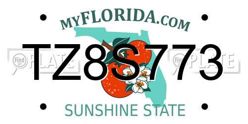 TZ8S773 Florida License Plate