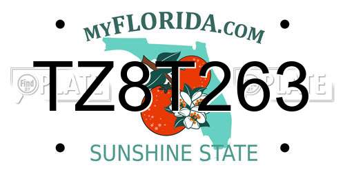 TZ8T263 Florida License Plate