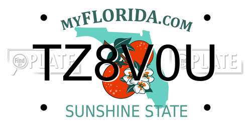 TZ8V0U Florida License Plate