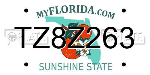 TZ8Z263 Florida License Plate