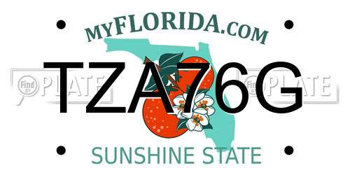 TZA76G Florida License Plate