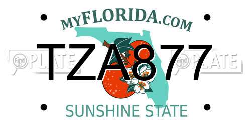 TZA877 Florida License Plate