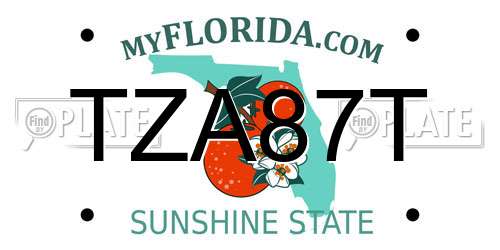 TZA87T Florida License Plate