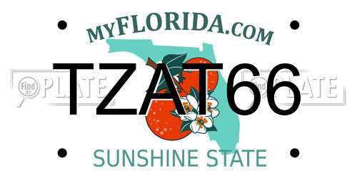 TZAT66 Florida License Plate