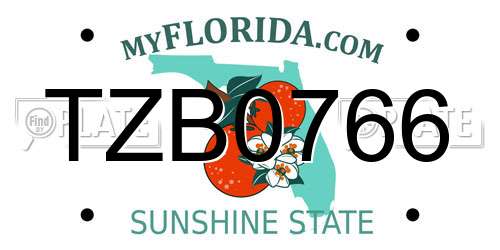 TZB0766 Florida License Plate