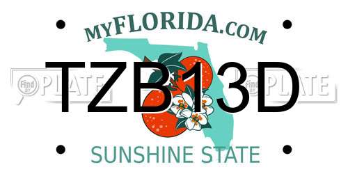 TZB13D Florida License Plate