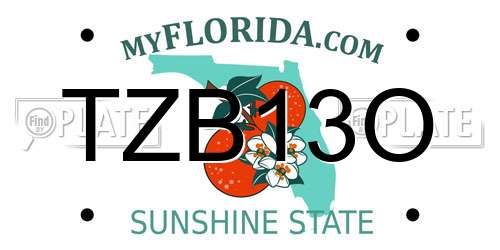 TZB13O Florida License Plate