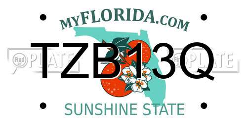 TZB13Q Florida License Plate
