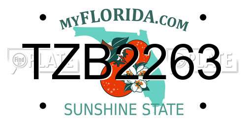 TZB2263 Florida License Plate