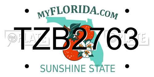 TZB2763 Florida License Plate