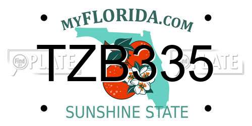 TZB335 Florida License Plate