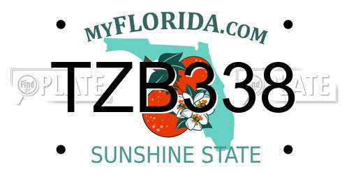 TZB338 Florida License Plate