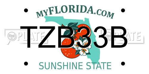 TZB33B Florida License Plate