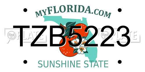TZB5223 Florida License Plate