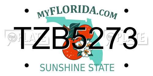 TZB5273 Florida License Plate