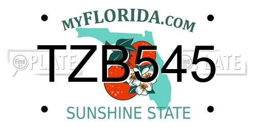 TZB545 Florida License Plate