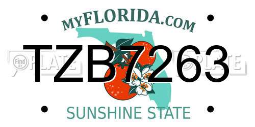 TZB7263 Florida License Plate