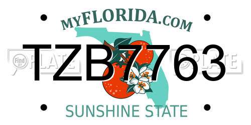 TZB7763 Florida License Plate