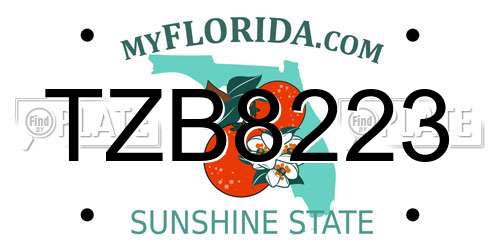 TZB8223 Florida License Plate