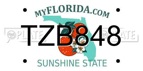 TZB848 Florida License Plate
