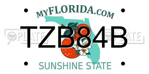 TZB84B Florida License Plate