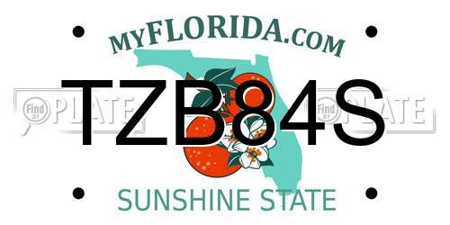 TZB84S Florida License Plate