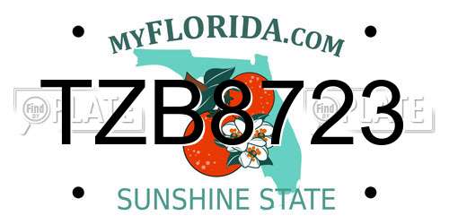 TZB8723 Florida License Plate