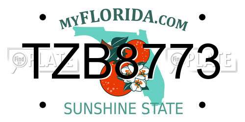 TZB8773 Florida License Plate