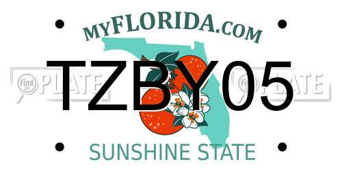 TZBY05 Florida License Plate