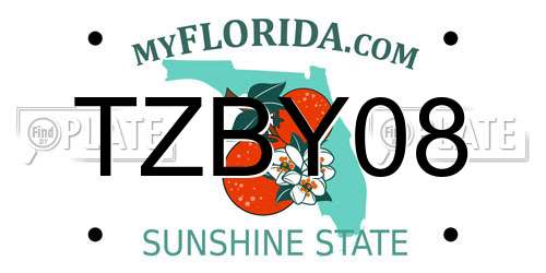 TZBY08 Florida License Plate